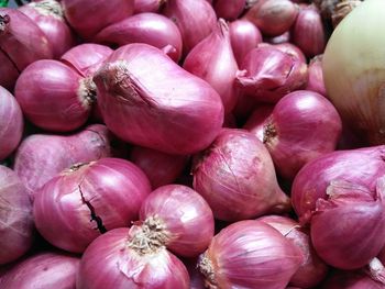 Full frame shot of onions