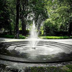 Fountain with trees in background