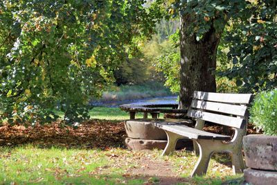 Empty bench in park