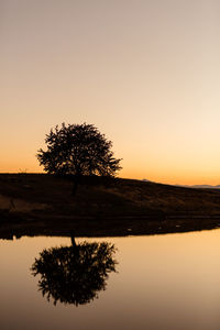 Silhouette tree by lake against sky during sunset