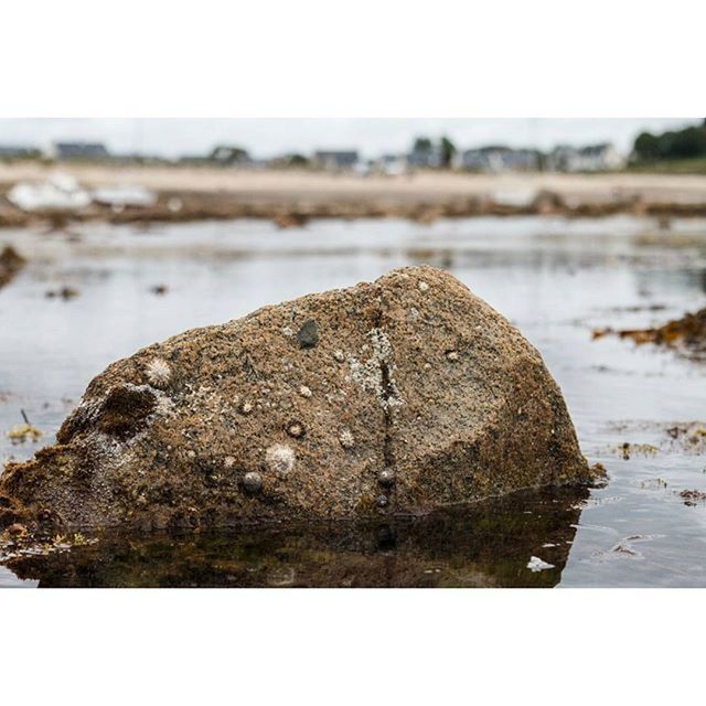 water, beach, sea, shore, transfer print, tranquility, sand, nature, auto post production filter, rock - object, focus on foreground, tranquil scene, close-up, day, outdoors, beauty in nature, scenics, coastline, stone - object, no people