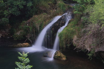 Scenic view of waterfall in forest