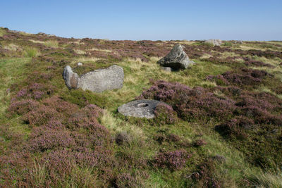 Rocks on land against clear sky