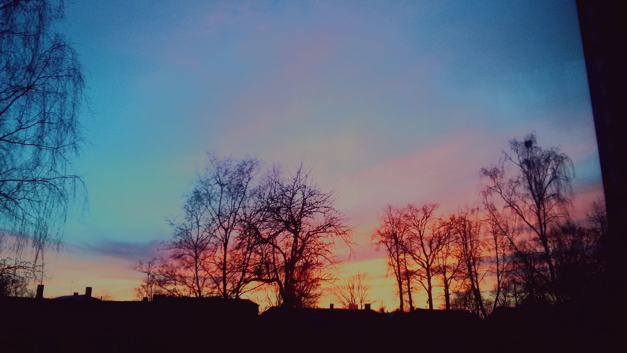 silhouette, tree, bare tree, sunset, tranquility, sky, tranquil scene, beauty in nature, scenics, branch, nature, low angle view, landscape, blue, idyllic, cloud - sky, no people, dusk, outline, outdoors