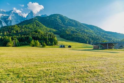 Scenic view of field and mountains against sky