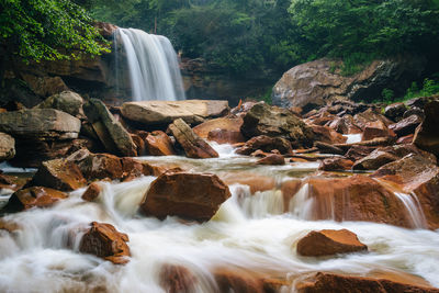 Scenic view of waterfall in forest