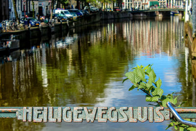 Close-up of reflection in water