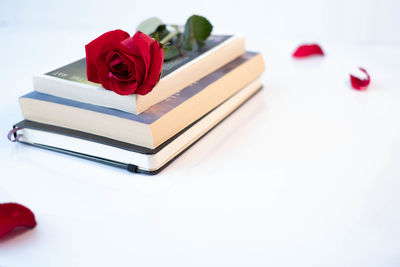 Close-up of red rose on white table
