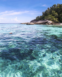 The water is clear until seeing the coral reef. at the similan islands, phang nga, thailand