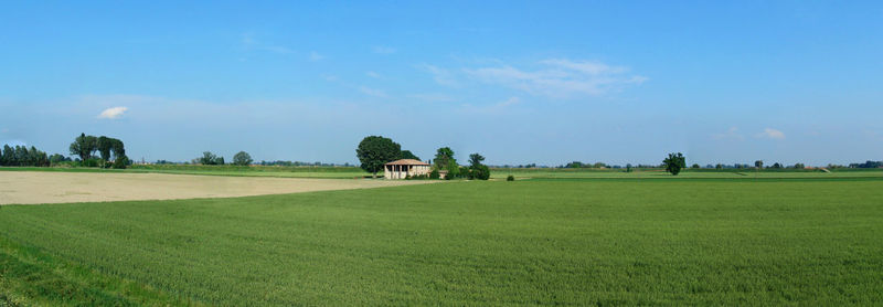 Scenic view of farm against sky