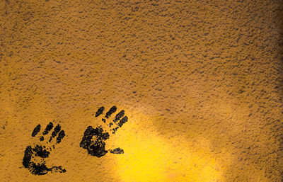 High angle view of handprints on wall 