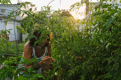 Woman eating fruit plant