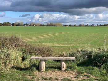 Scenic view of agricultural field against sky