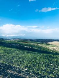 Scenic view of field against sky