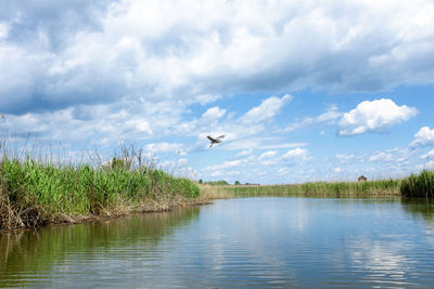 View of birds flying over lake against sky