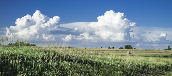 Scenic view of field against cloudy sky