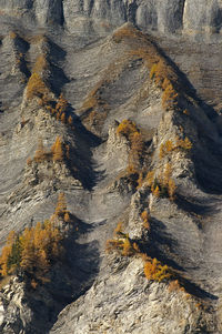 Rocks on mountain