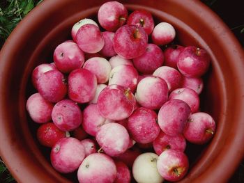 High angle view of strawberries in bowl