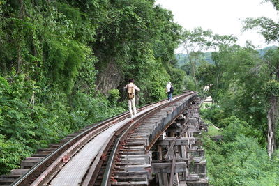 Rear view of railroad tracks amidst plants