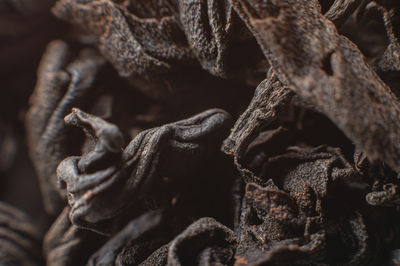 Extreme macro black loose leaf tea as a background. texture of dry black tea leaves in shallow depth