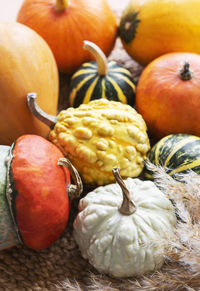Fall background with multi color pumpkins on rustic background