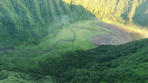 High angle view of waterfall in forest