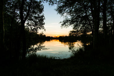 Scenic view of lake in forest during sunset