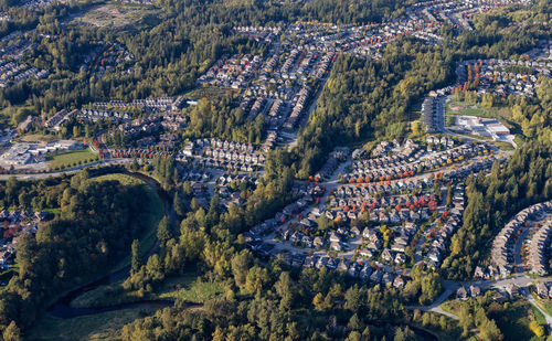 High angle view of trees and buildings in city