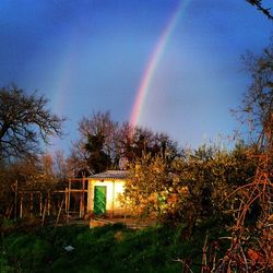 Scenic view of rainbow over landscape