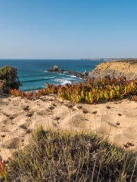 Scenic view of sea against clear sky