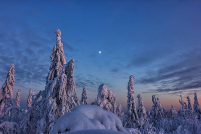 Scenic view of snowcapped landscape against blue sky