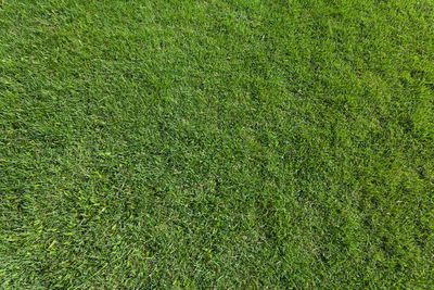 Full frame shot of soccer field