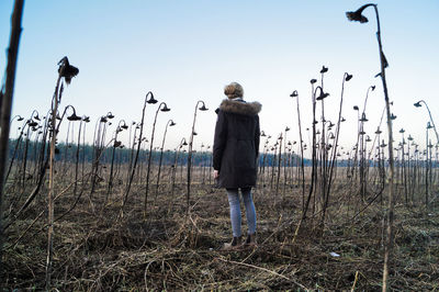 Rear view full length of woman standing amidst plants on field