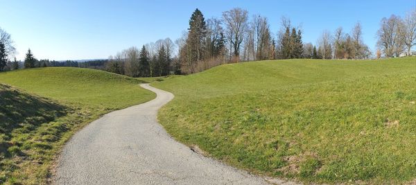 Scenic view of grassy field against sky