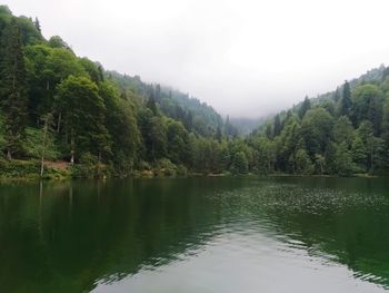 Scenic view of lake by trees against sky