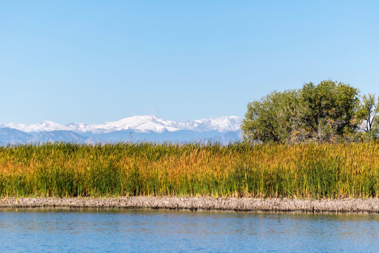 Fall on the prairie