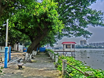 Walkway along trees in park