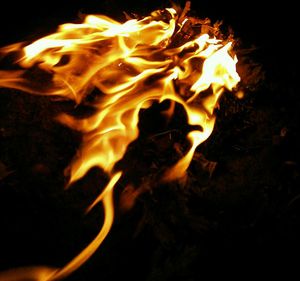 Close-up of fire in fire