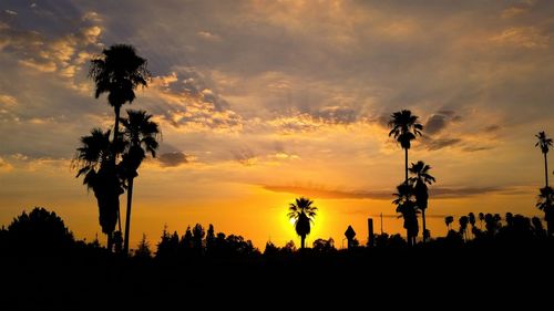 Silhouette palm trees against sky during sunset