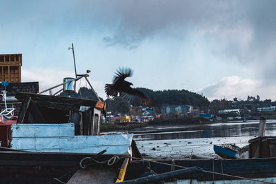 Low angle view of boat in city