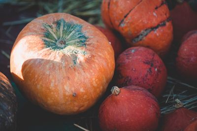 High angle view of fruits for sale at market