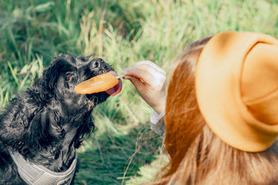 Nature therapy, soothing effect of pets in outdoors, pets, nature together can have on mental health