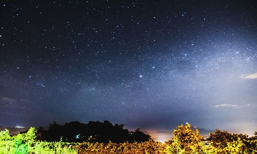 Trees on field against sky at night