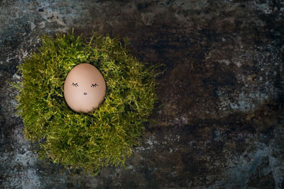 Close-up high angle view of egg with smiley on moss