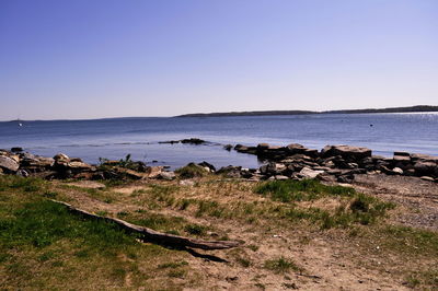 Scenic view of sea against clear sky