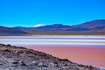 Scenic view of lake against clear blue sky