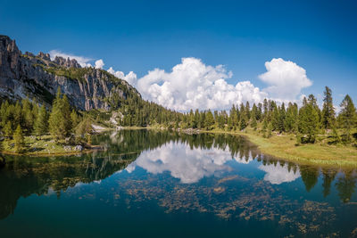 Scenic view of lake and trees against blue sky