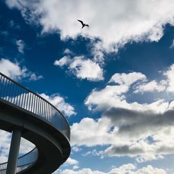 Low angle view of bird flying against sky