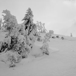 Scenic view of rock formation against sky
