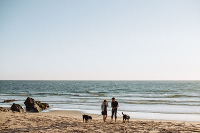 Young millennial couple with two dogs at beach in portugal, wide angle